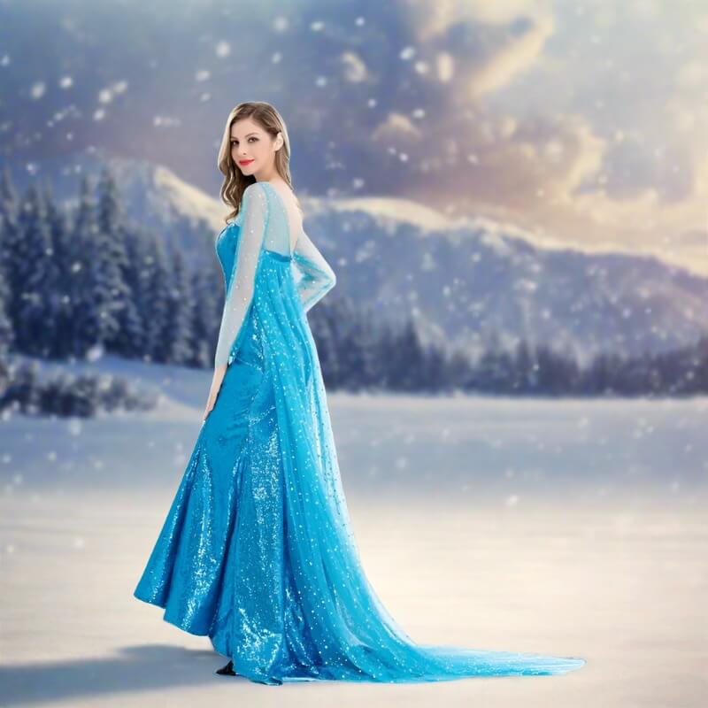 Princess Elsa Dress Sequin Mesh Long Elsa Costume Adult Snow Queen Costume