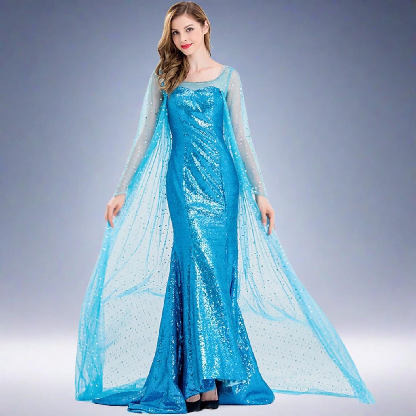 Princess Elsa Dress Sequin Mesh Long Elsa Costume Adult Snow Queen Costume